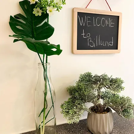 5 Minute Walk To Lego House - 50m2 Cozy Apartment- D Unit Daire Billund